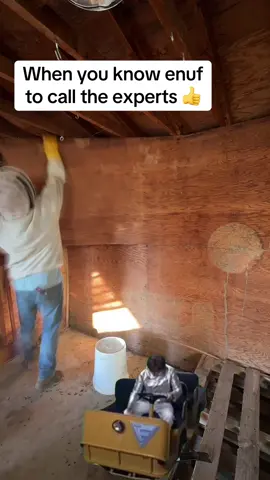 When you know just enough… to call CharlieBee 🐝🔨 #beeboy #B#BeeRemovalB#BeeRescueBeeRelocation