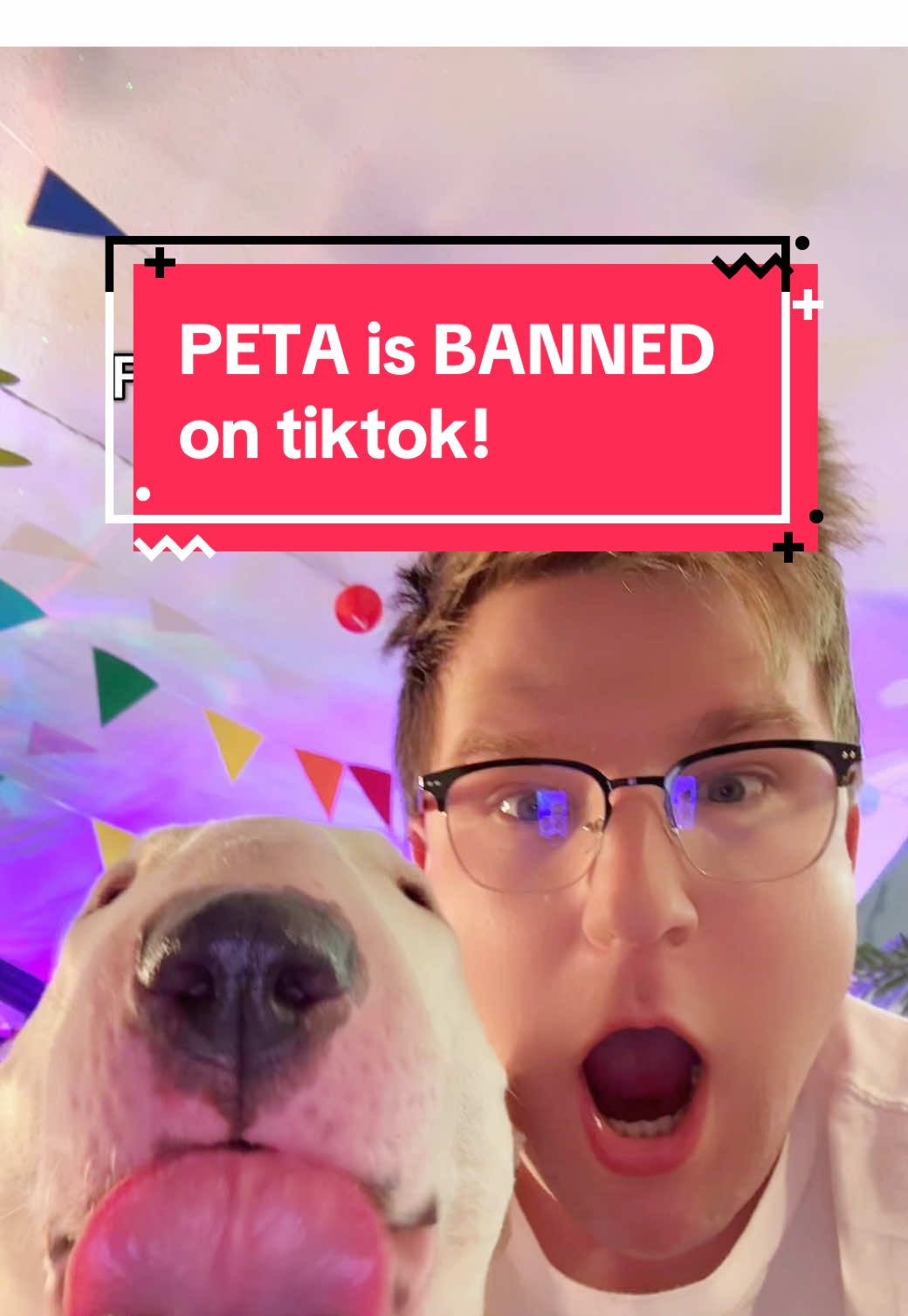 to celebrate PETA being banned from, check out ASPCA’s newest adoption campaign! #peta #adoption #aspca #BestFriends #dogs  