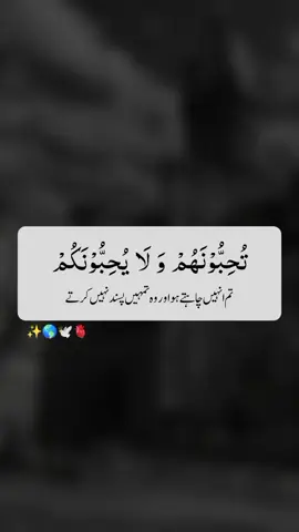 اہم پیغام #foryou #fyp 