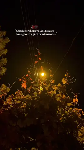 Geceleri gücüm hiç bir şeye yetmiyor…🥀🖤 #kürtçeşarkılar #manzaram #mucizeaşk #kürtçemüzik #keşfet 