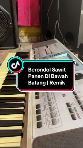 #berondolsawit #remikpalembang #remiklampung #orgenlampung #ogankomeringilir 