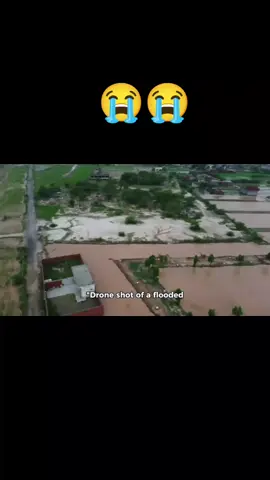 😭🚨 Floods in Punjab | People Struggling for Survival 🌊 Hashtags: #PunjabFloods #FloodInPunjab #PunjabDisaster #FloodRescue #FloodEmergency #SavePunjab #PunjabFloodRelief #FloodAwareness #NaturalDisaster #PrayForPunjab 