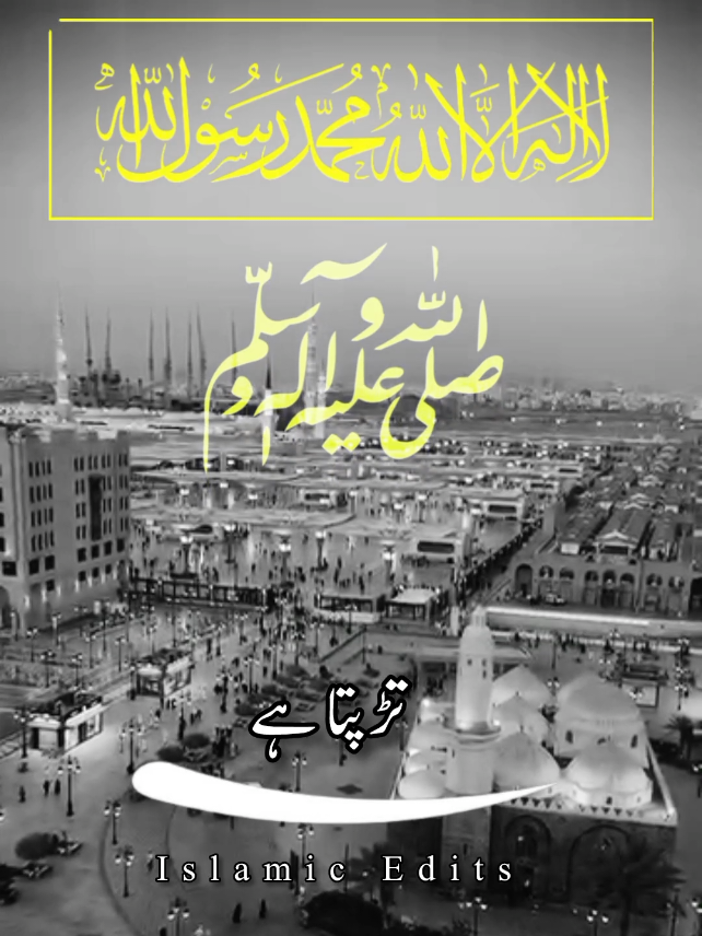 Trapta Hy Ya Dil Mera #islamic_video #UK #Deen #foryou #Fyp 