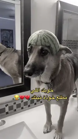 منشن له 😂😂#ببجي 