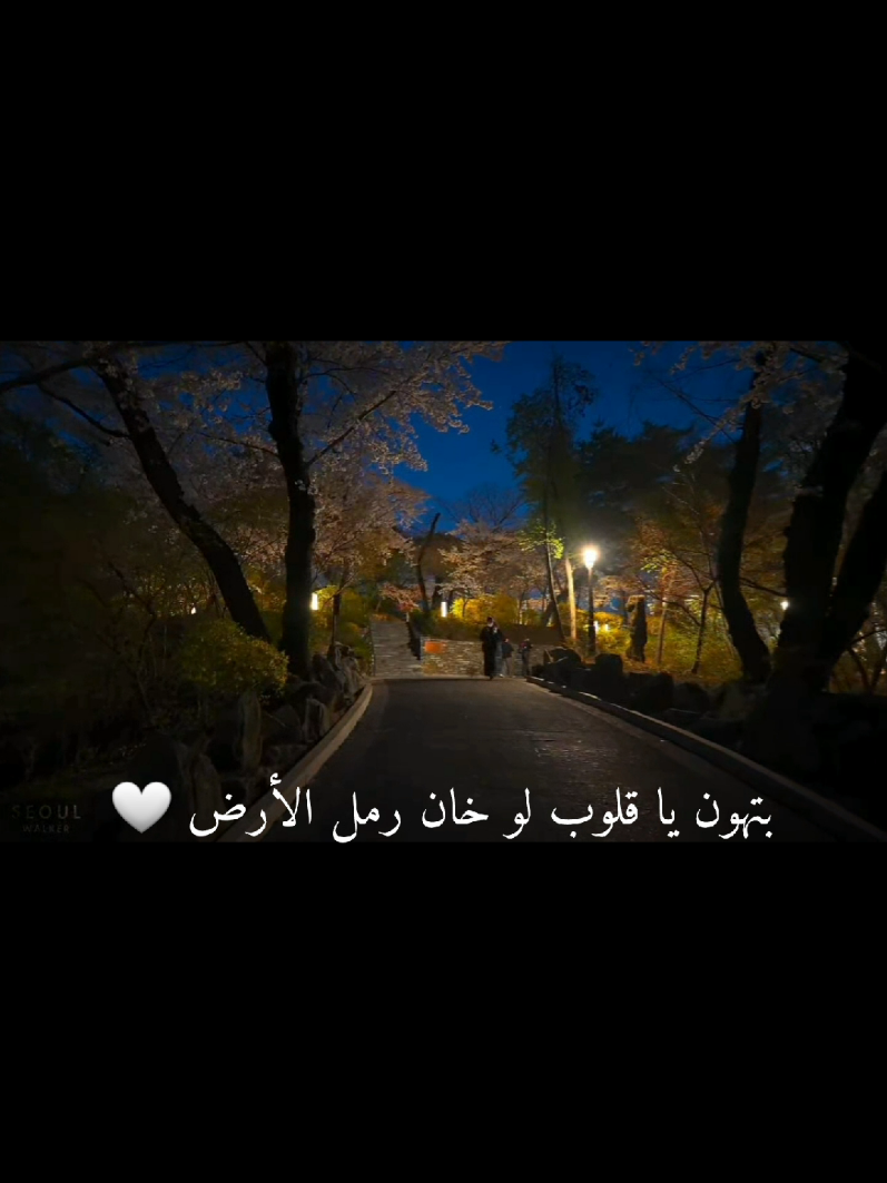 بتهون يا قلوب لو خان رمل الأرض 🥺🤍🖤 @Al shami - الشامي #بتهون #اغنيه  الشامي الجديده 🔥#fyp #ستوريات #creatorsearchinsight 