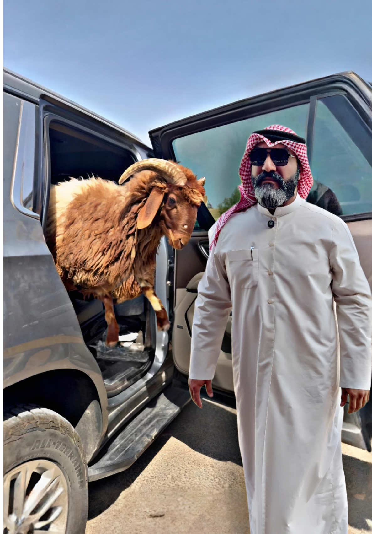 وين راح الخروف لكن اكتشفنا لحم لذيذ 