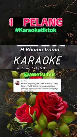 PELANGI #karaoketiktok