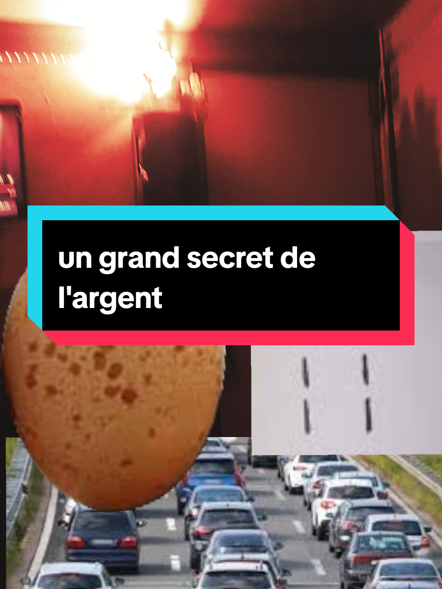 #attractionargent #attirerlargent #loidattraction #magnetisé 