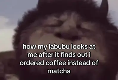 hate disappointing my labubu #labubu #dubai #matcha #fyp #viral 