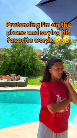 My wife says my favorite words to get my reaction. 🤣 #backyardchickens #urbanchickenfarmer 
