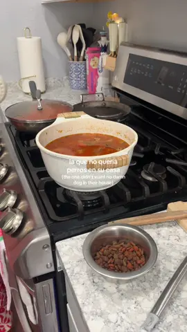 Albondigas for Frito 🐾  que pedo con mi riza bye #chihuahuamom #chihuahuastiktok #chihuahuasoftiktok #homemadedogfood #chihuahuafanclub 