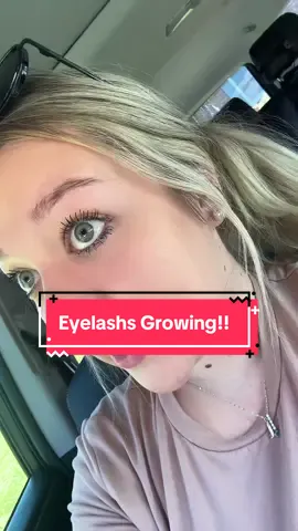 Okayyy I’m finally getting some eyelashes back! #terezandhonor #eyelashsyrum #eyelashes 