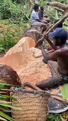 You’ve Been Eating This Wood Without Knowing It #wood #eating #nature #science #amazing