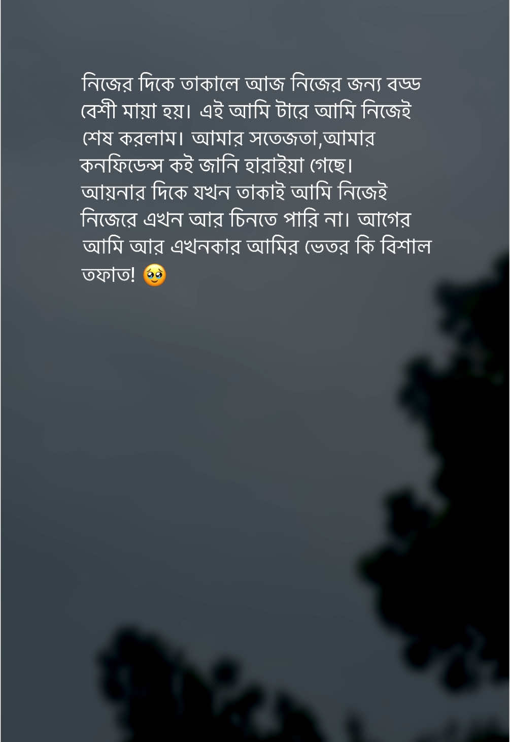 গড় ব্যয় এর হিসাব মিলাতে গিয়ে দিন শেষে আমি একা! #banglastatus #bangla_status #alamin1728 