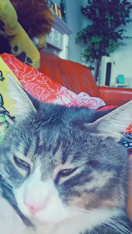 #funnyvideos #trending #foryoupage #viralvideo 