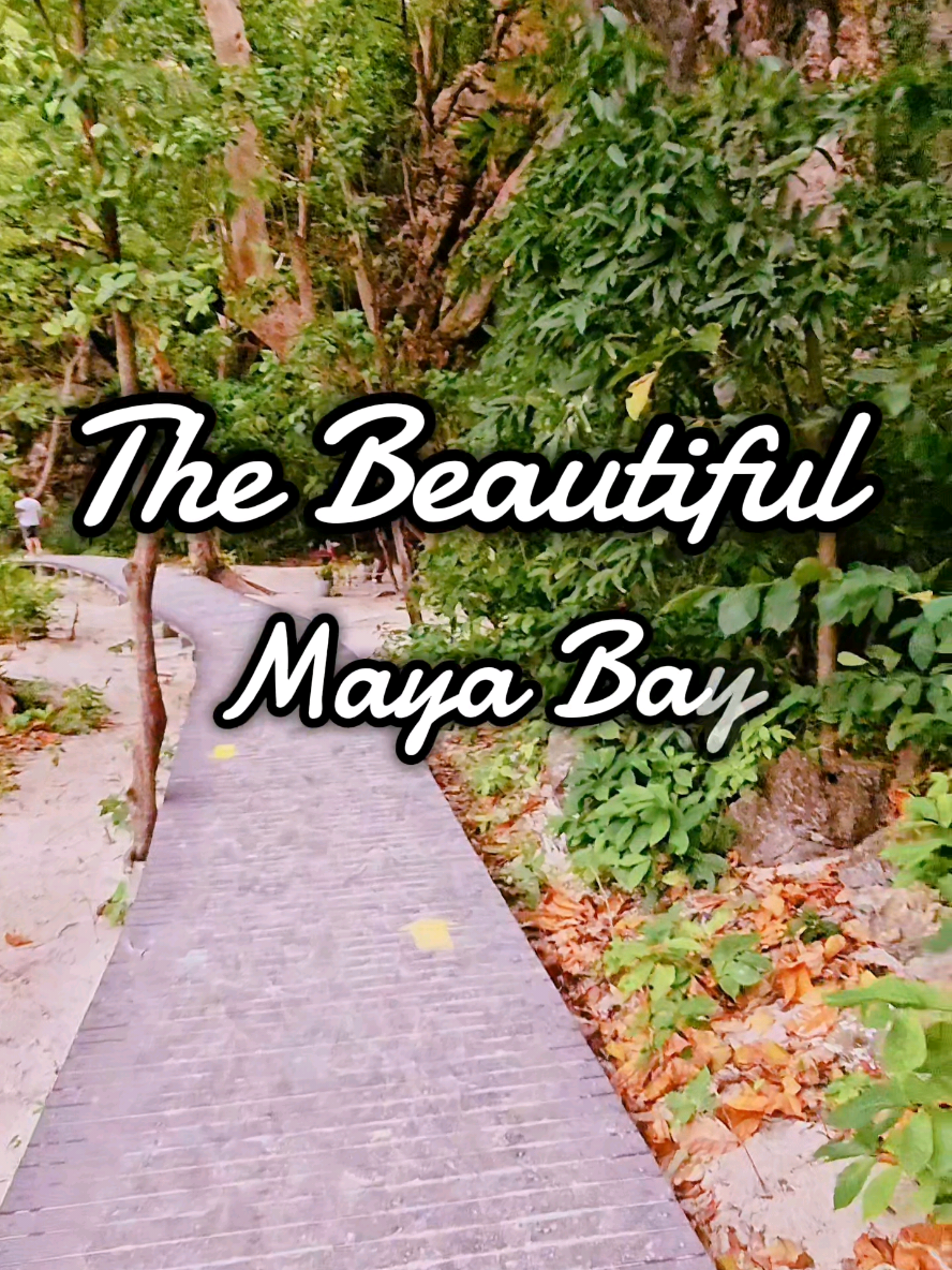 Glimpse of one of the most beautiful beaches of Thailand, Maya Bay...❤️🇹🇭 A must visit place for your next Thailand trip. #mayabay #phiphiisland  #traveltiktok #thailand  #creatorsearchinsights 