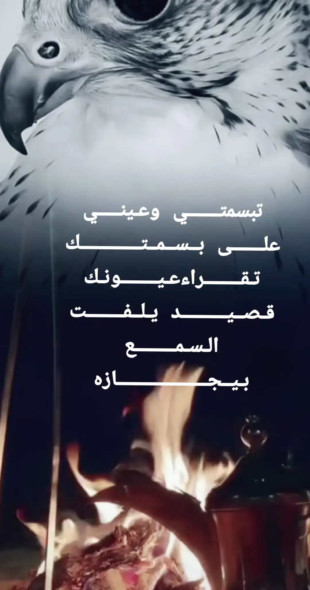 #اكسبلورexplore #اكسبلور 
