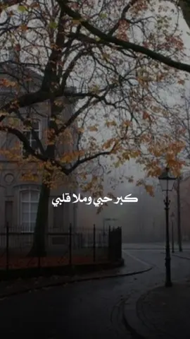 #CapCut #اكسبلور #تصميمي #تصميم_فيديوهات🎶🎤🎬 #حسام_الرسام @حسام الرسام | Hussam Alrassam 