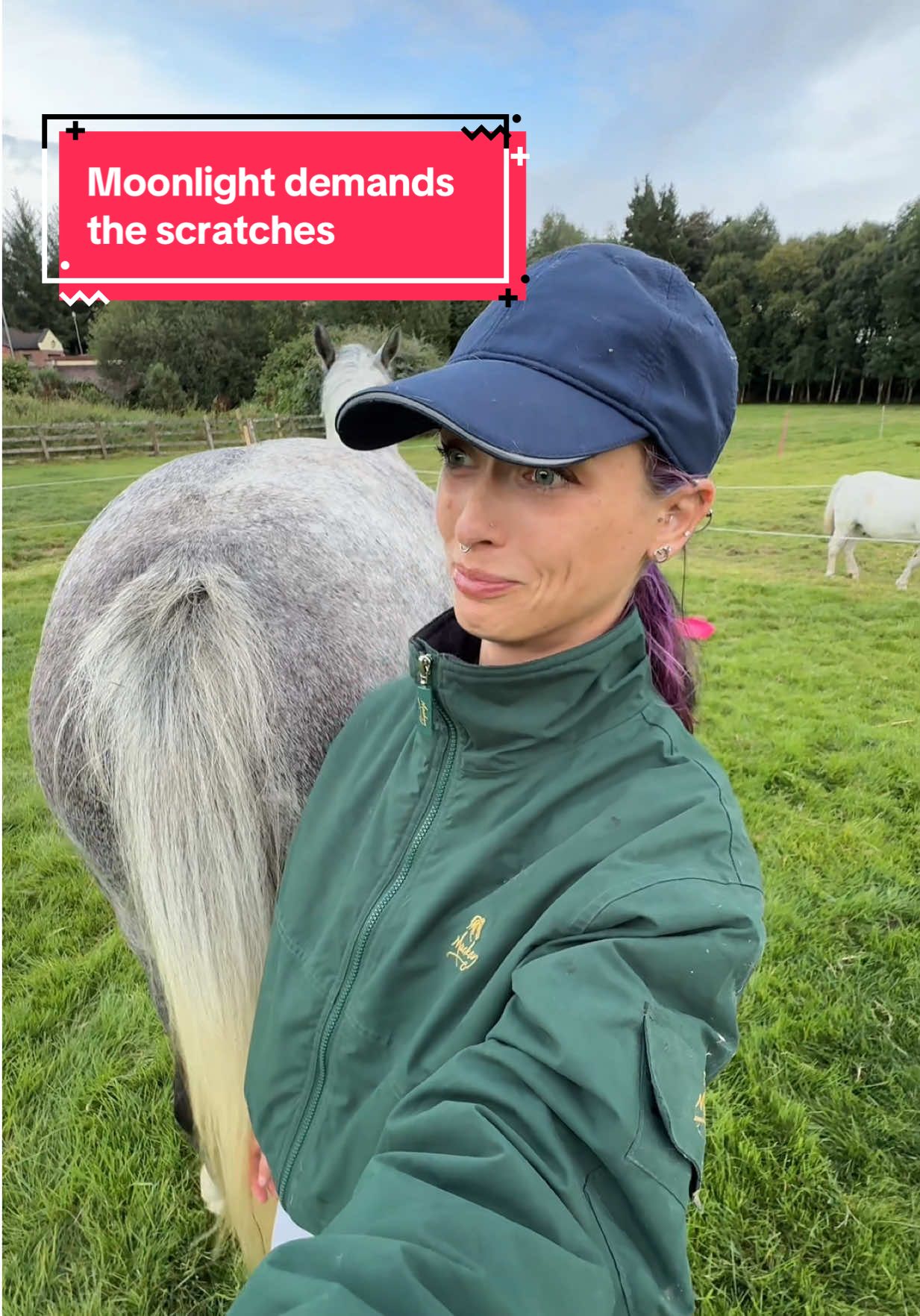 I will never know peace from now this day forward. #horsetok #equestrian #horseriding #horsesoftiktok #fyp 