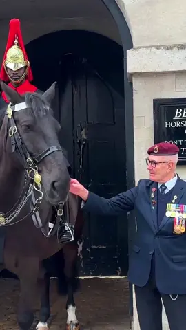 Respect moments king guard horse #kingguard #royalguard #horseguardsparade #respect 