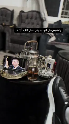 وادي الذئاب##بولات_علمدار🖤🔥##ميماتي