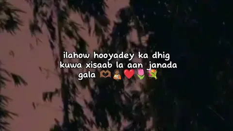 Insha Allah 🫂👸🏻🫶🏾❤️‍🩹💞😍💐 (Somali Tiktok ❤️‍🩹🇸🇴) capcut pppppppppppppp 