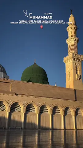 mola Muhammad (saw)✨🫀❤️ #imamhussain #karbala #shia #burhan_tv #foryou 