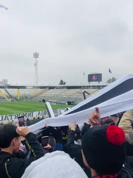 A RAJA PELAA🤣 #garrablanca #colocoloeschile #paratodoelmundo #paratii 