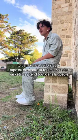 désolé la fourmis 😔😔