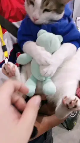 🥰🥰😻😻😻