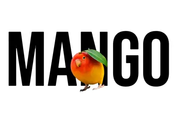 #CapCut #MANGOBIRD #fypppppppppppppppppppppppppppppppppppppppp #fypシ゚viral  #67 