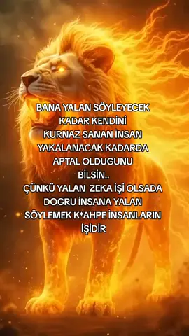 #👑👑👑 #keşfetedüş #storytlikvideolar #keşfettiktok #keşfetteyizzz 