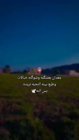 بس النه😅🕊🤍 //🤍2023/9/30🤍// //🤍2023/9/6🤍// #يعنيN🕊 