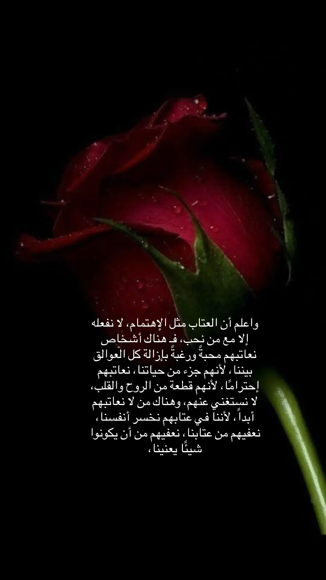 #مساء_الخير🌹 