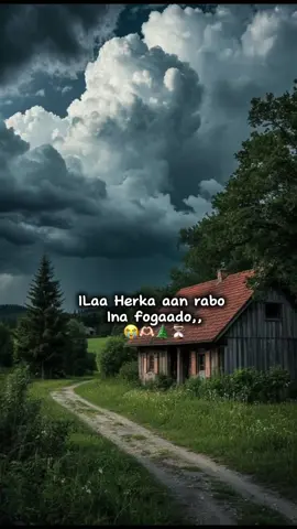 🫶🏻🌲#ifiso #jawi#tiktok #fppppppppppppppppppp #fppppppppppppppppppp 