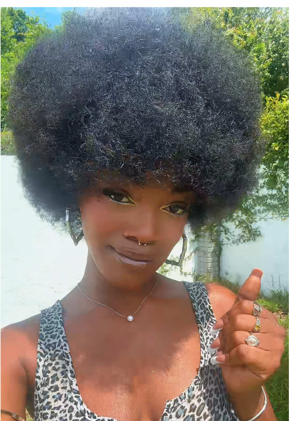 i'm paraphrasing lmao but name your fros @Naturally Aly 😻✨ #naturalhair #afro #foxybrown 