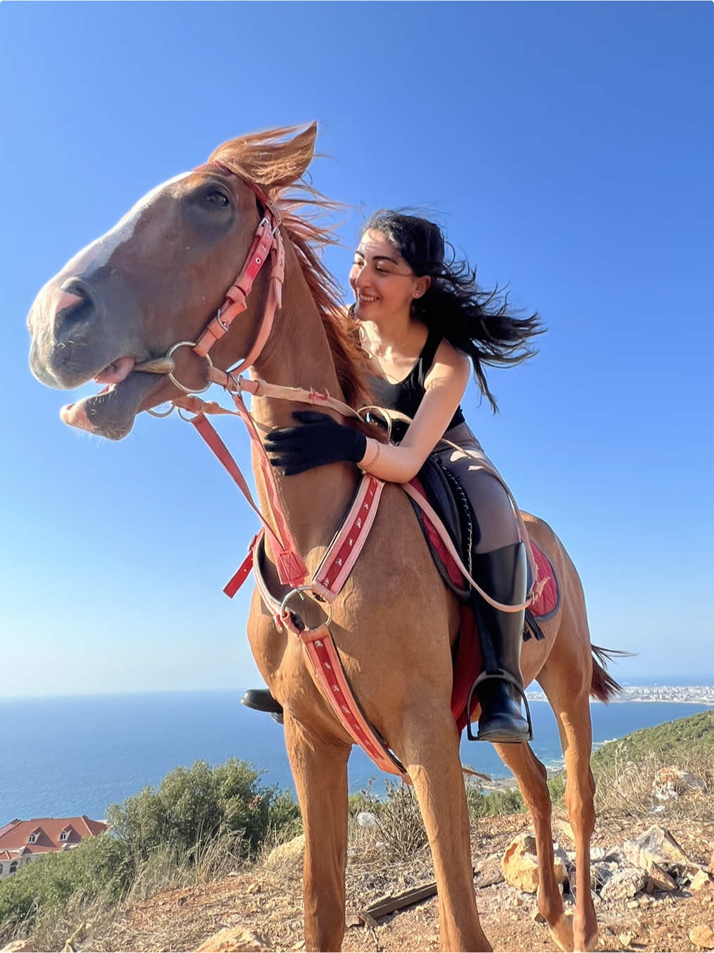 #fyp#horseriding#خيل_وخياله🐎 #horse 