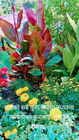 @#F0R Y0U #❣️❣️❣️ ❣️❣️