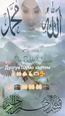 أومين ☝🏻🕋🤲🏻🕋#farsitiktok #💔🥀 #💔🥀🖤 #рекомендации #islamic_video 