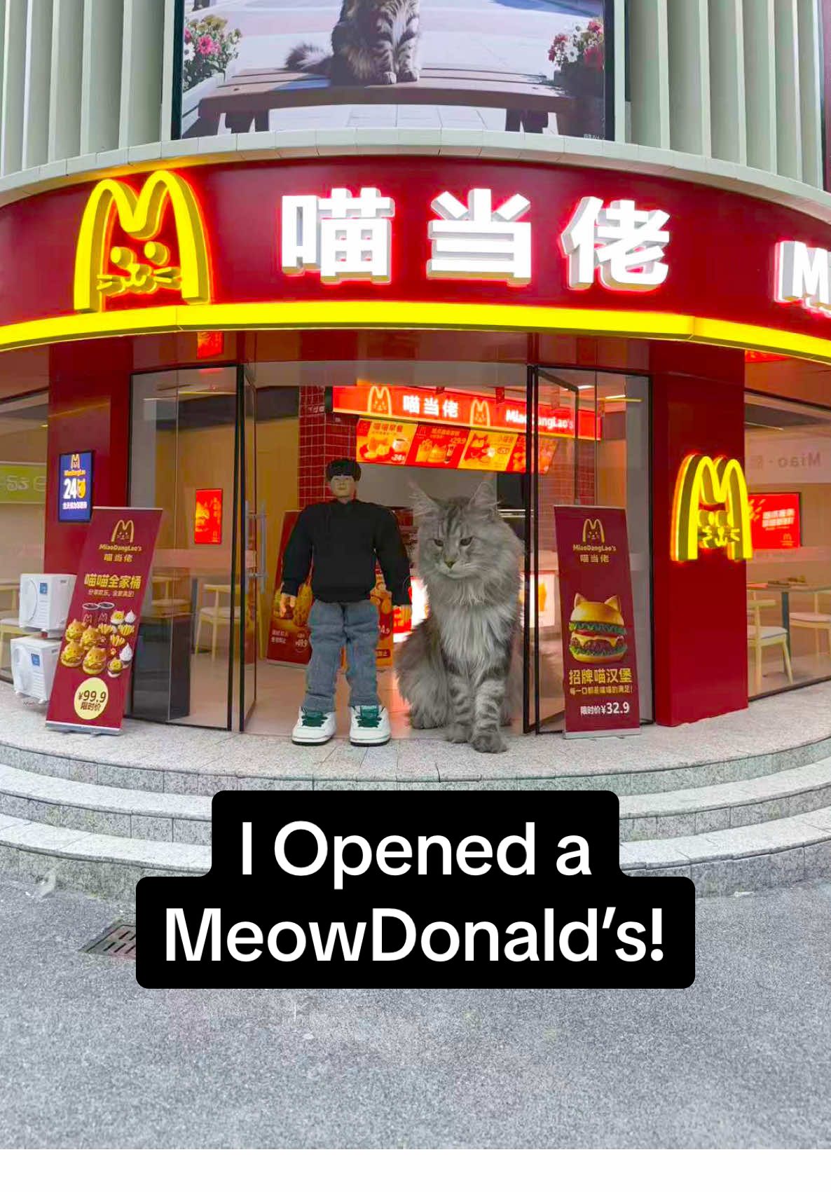I made a restaurant for my cat! #catsubway #xingsworld #xingzhilei #cat #catsoftiktok #cute #kawaii #可愛い #meowdonalds 