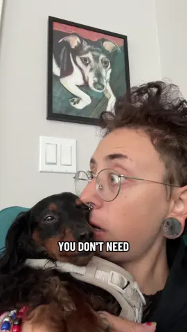 #dachshund #wienerdog #dogparent 
