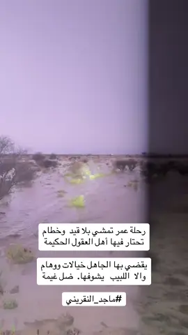 #شعراء_وذواقين_الشعر_الشعبي 