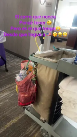 #viralvideo #housekeeping #work 