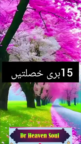 #creatorsearchinsights  #زلزلے #طوفان #قران #اسلام 
