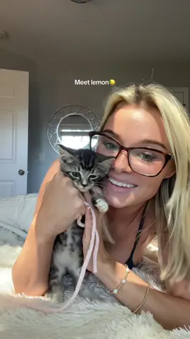 The cutest kitten ever