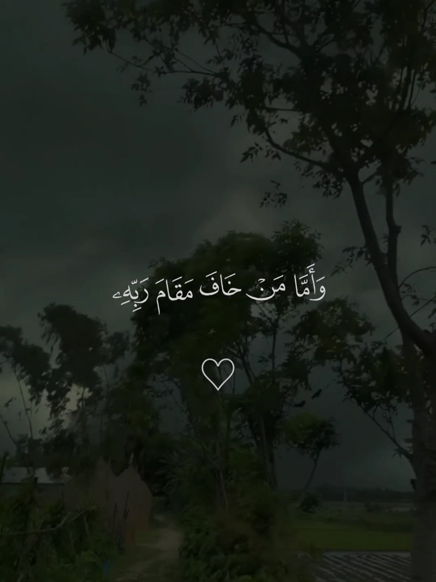 واما من خاف مقام ربه ونهى النفس عن الهوى🤎 #قران #ماهرالمعيقلي #قران_كريم #تصميم_karimmohmed30 