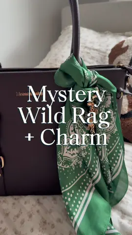 Love a good mystery package! #western #wildrag #westernstyle #westernfashion #foryoupage 