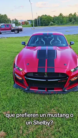 Respuesta a @pony01565 estas son las diferencias entre un mustang y un Shelby gt500 #ford #mustang #shelby #gt500 #shelbygt500 