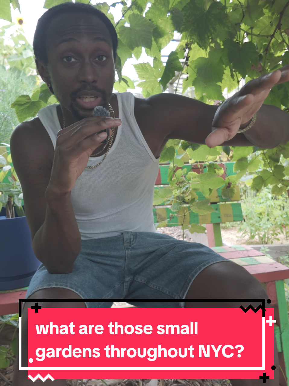 pull up to our community garden fundraiser Saturday August 30th in Brooklyn for DJ sets, live performances, food and more! Suggested donation for entry and a portion of proceeds go directly to the Good Life Garden for maintenance and upgrades! #communitygarden #party #brooklyn #fundraiser #livemusic 