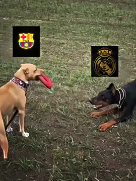 #CapCut #rekkk #barcelona #viscabarca 